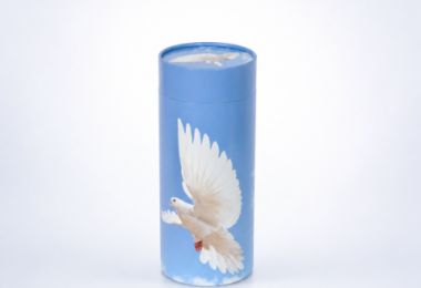 Urne carton Colombe