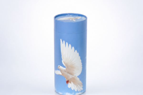 Urne carton Colombe