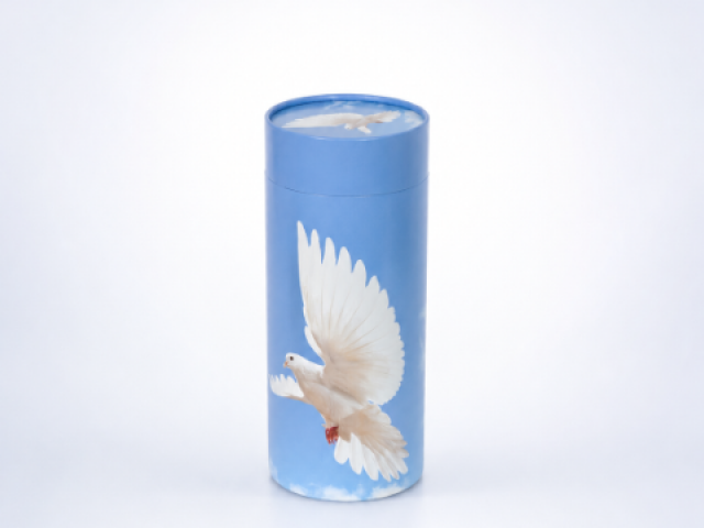 Urne carton Colombe